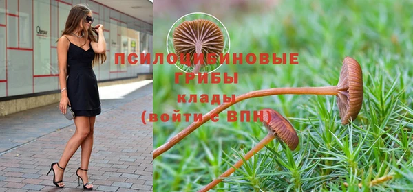 стафф Михайловка