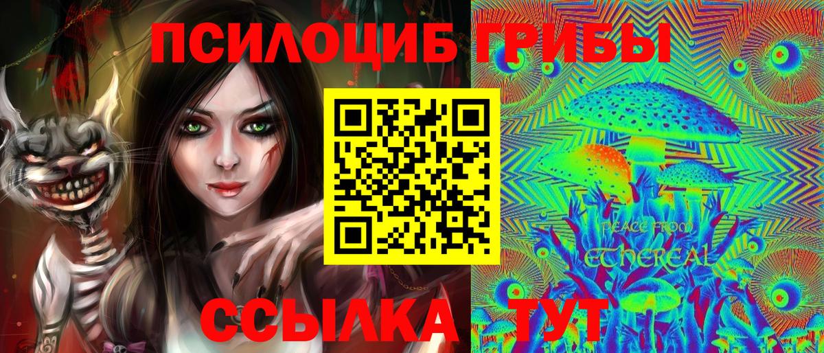 купить наркотик  Галлюциногенные грибы MAGIC MUSHROOMS  Коломна  Псилоцибиновые грибы Magic Shrooms 