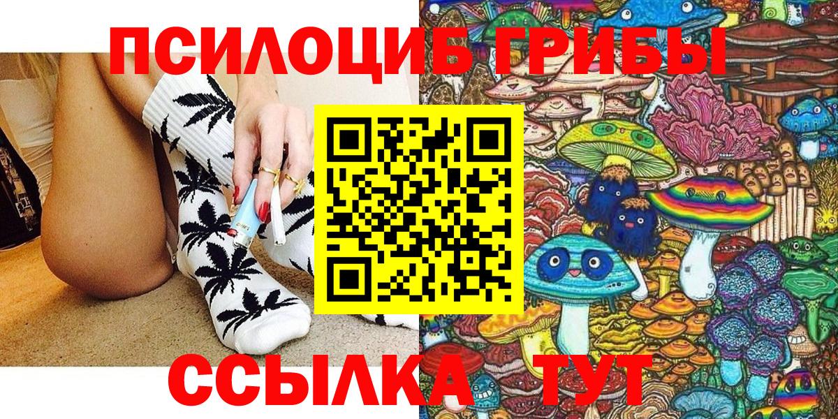 Коломна  Псилоцибиновые грибы Psilocybine cubensis  Вход с VPN 